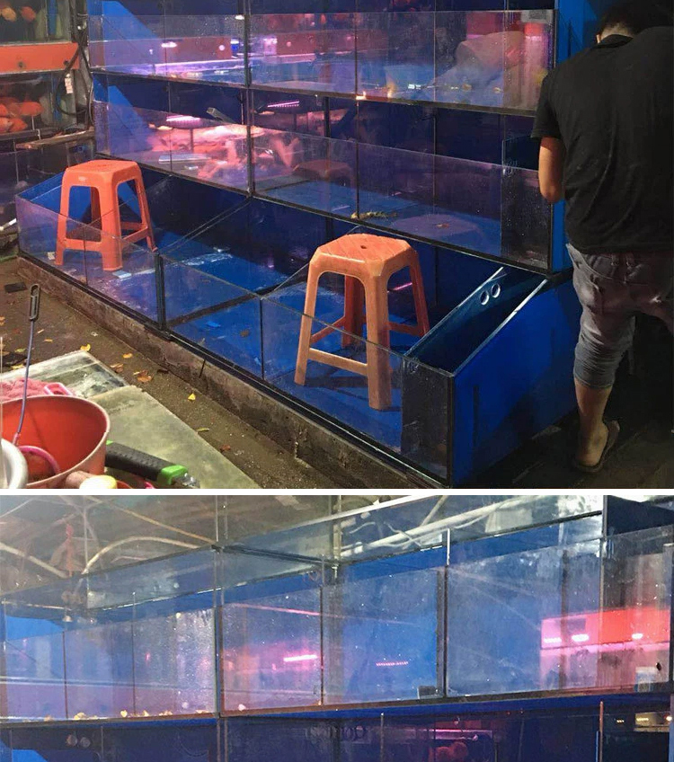 海鲜缸_10.jpg