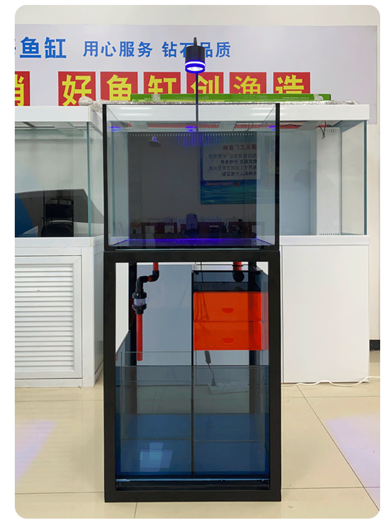 海水缸_17.png