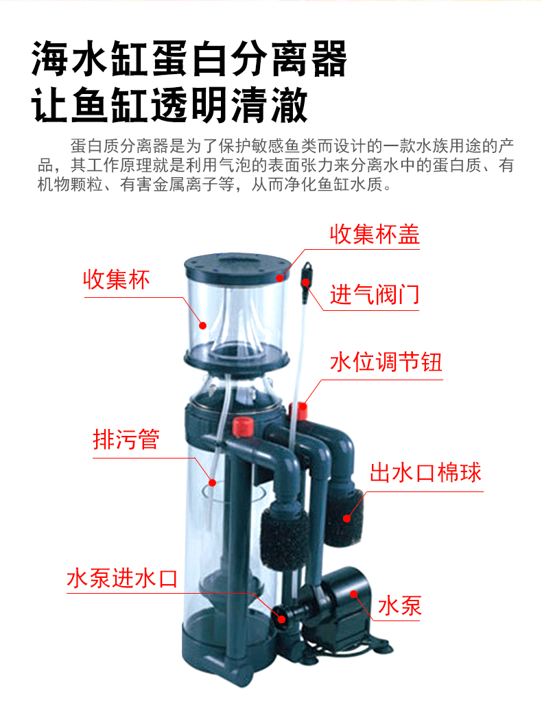 海水缸_13.png