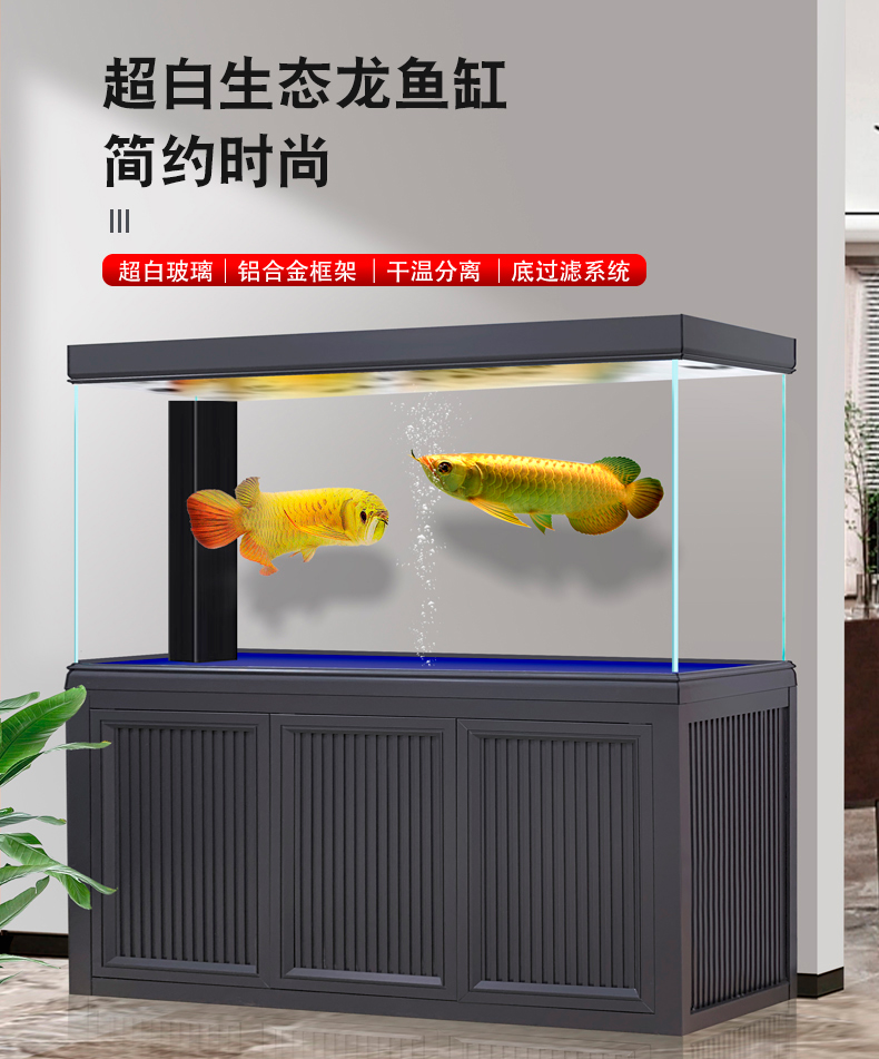 无盖_01.jpg