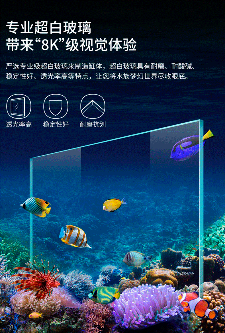 海水缸_10.png
